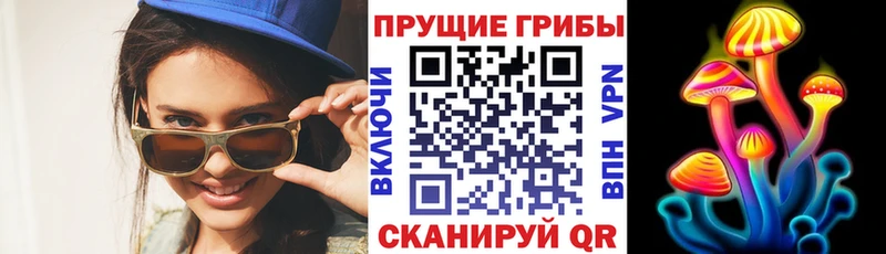 Галлюциногенные грибы Psilocybe  купить наркоту  Златоуст 