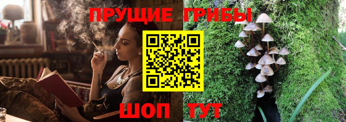 Псилоцибиновые грибы GOLDEN TEACHER  Вход с VPN  Златоуст 